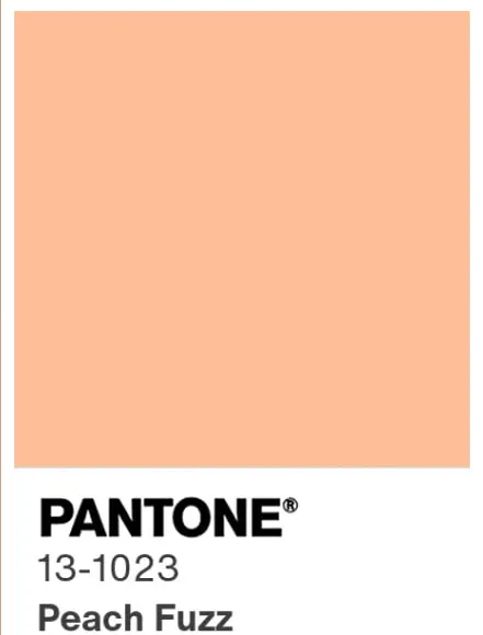 PANTONE 2024.jpg